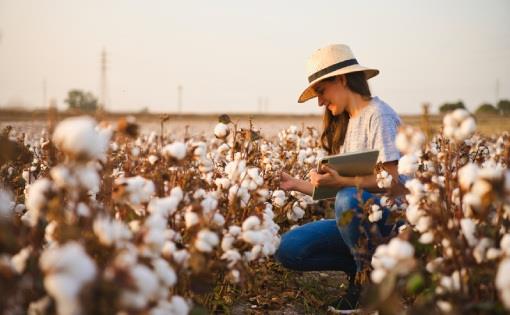 Organic Cotton - Creating a New Era